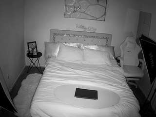 voyeurcam-whitneyoc-01