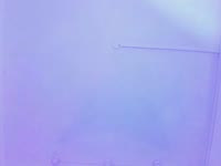 Pearl  is an earthly goddess of enchanting beauty, with curves that
hypnotize and a presence that ignites every space she steps on. Her hair, as
silky as her skin, falls in cascades of desire, framing a sweet face that
hides a mischievous and irresistible spark. Her body is art in motion:
seductive, vibrant, a temple of pleasure and emotion. Intelligent, cunning, and unique,
she knows how to play with words and the senses. She has the gift of turning every
moment into an intense adventure, full of laughter, warmth, and satisfaction. She is
fire and tenderness, madness and sweetness in perfect harmony. By her side, every moment
is transformed into an unforgettable experience, where pleasure and fun
have no limits. She is not just beautiful, she is a woman who leaves her mark, a living muse
of desire and emotion. The sky is shaped like a woman, and she knows it.