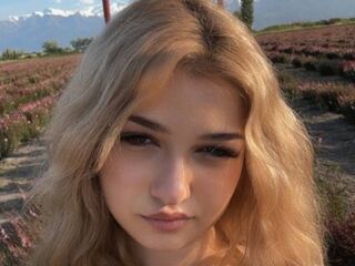 chat room free CloudyFox